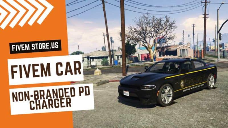 Unique FiveM Non Branded PD Charger Car