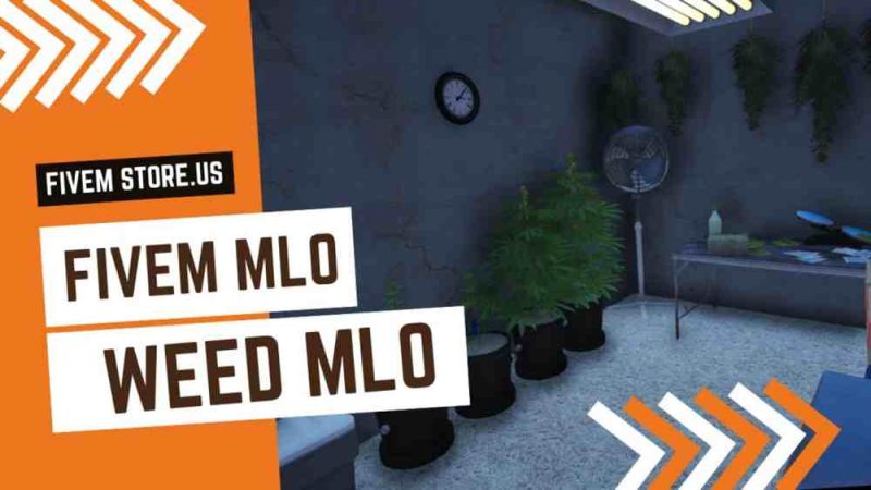 best FiveM Weed MLO