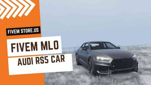 Beautiful FiveM Audi RS5