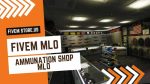 best Gun Store MLO FiveM