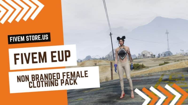 Non Branded Female FiveM Clothing Pack